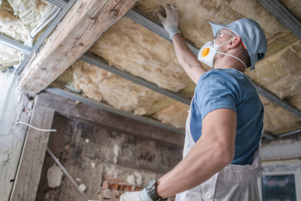 Best Eco-Friendly Insulation in El Paso De Robles, CA